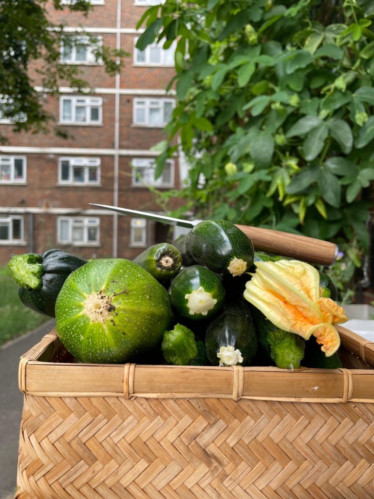 A picture showing a basket filled with produce grown in the new community garden. A block of flats can be seen in the background.